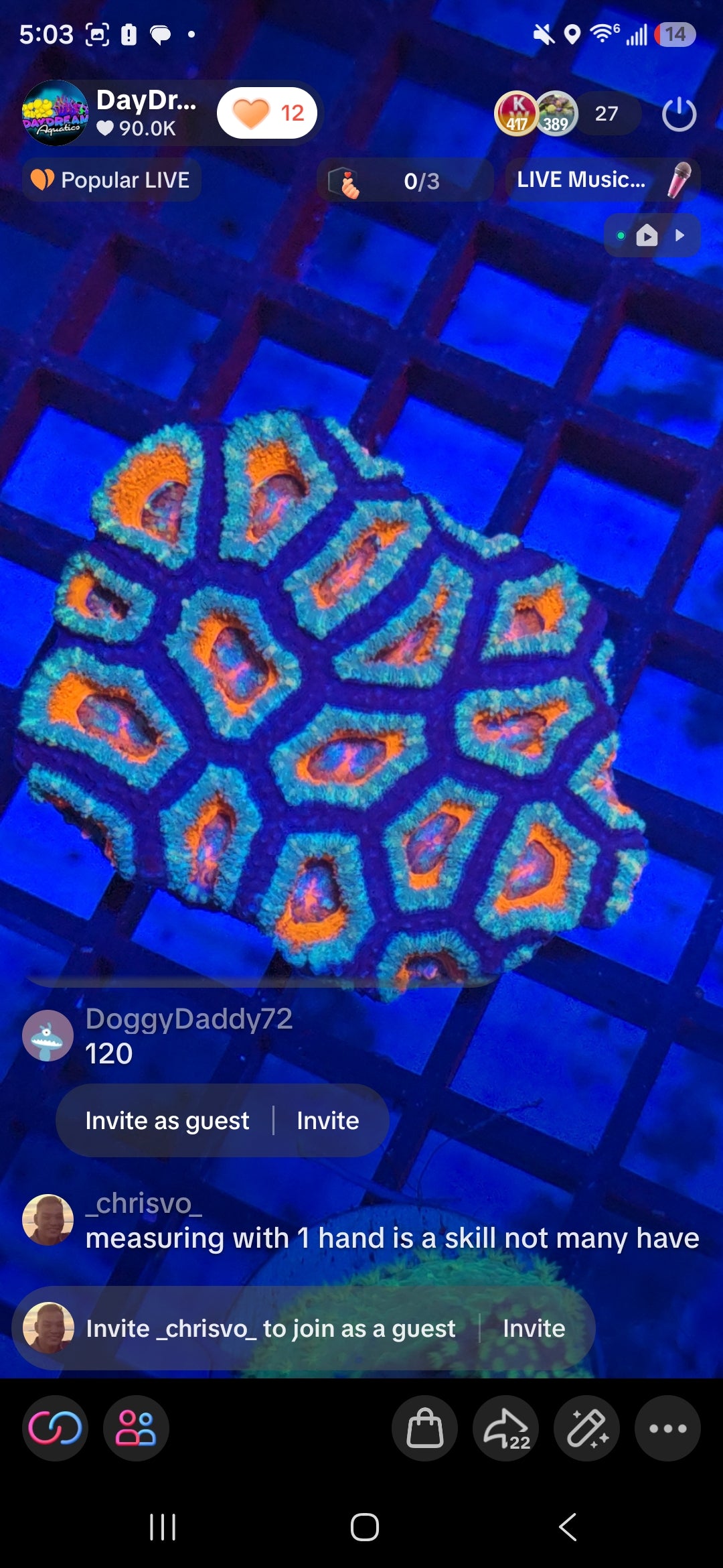 DoggyDaddy72 Pack