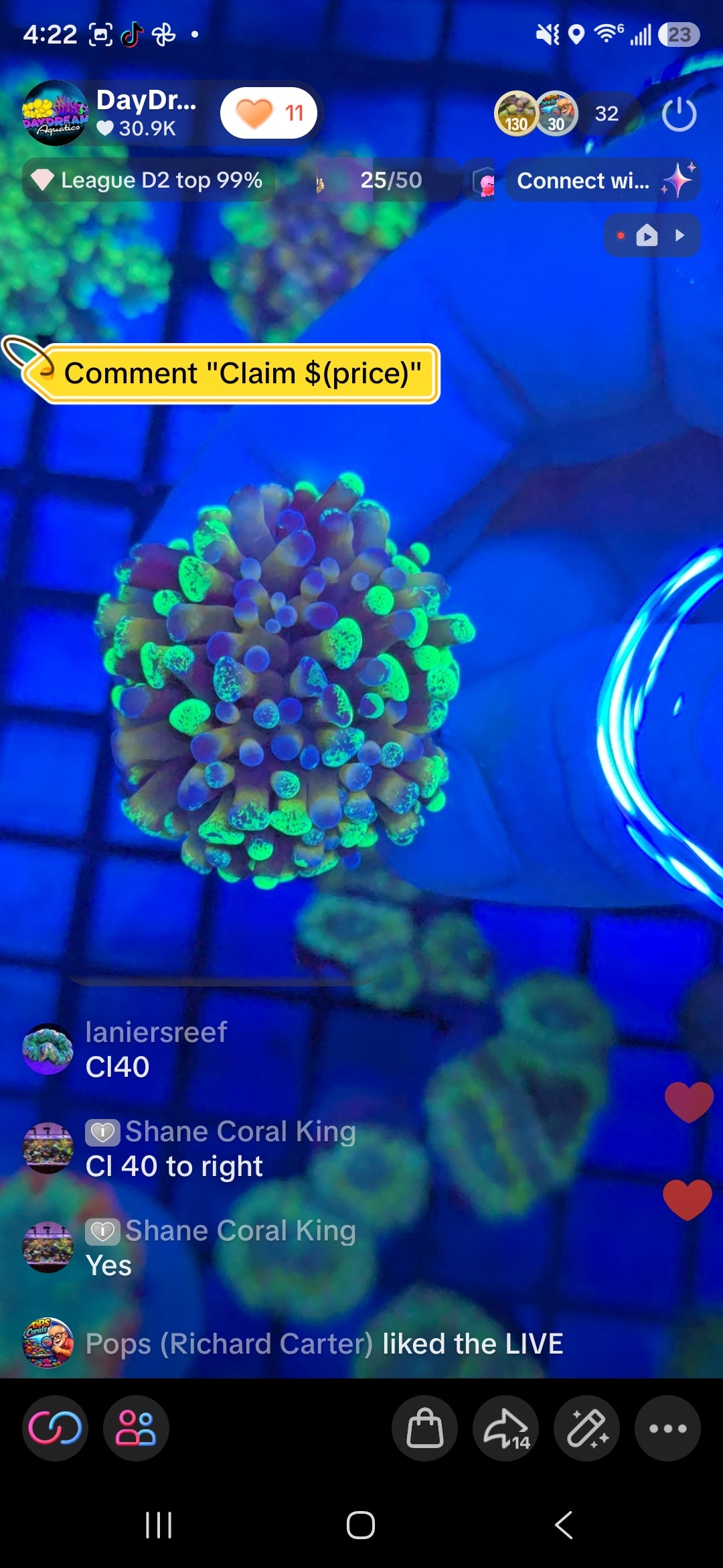 Ianiersreef Pack