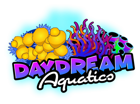 DayDream Aquatics