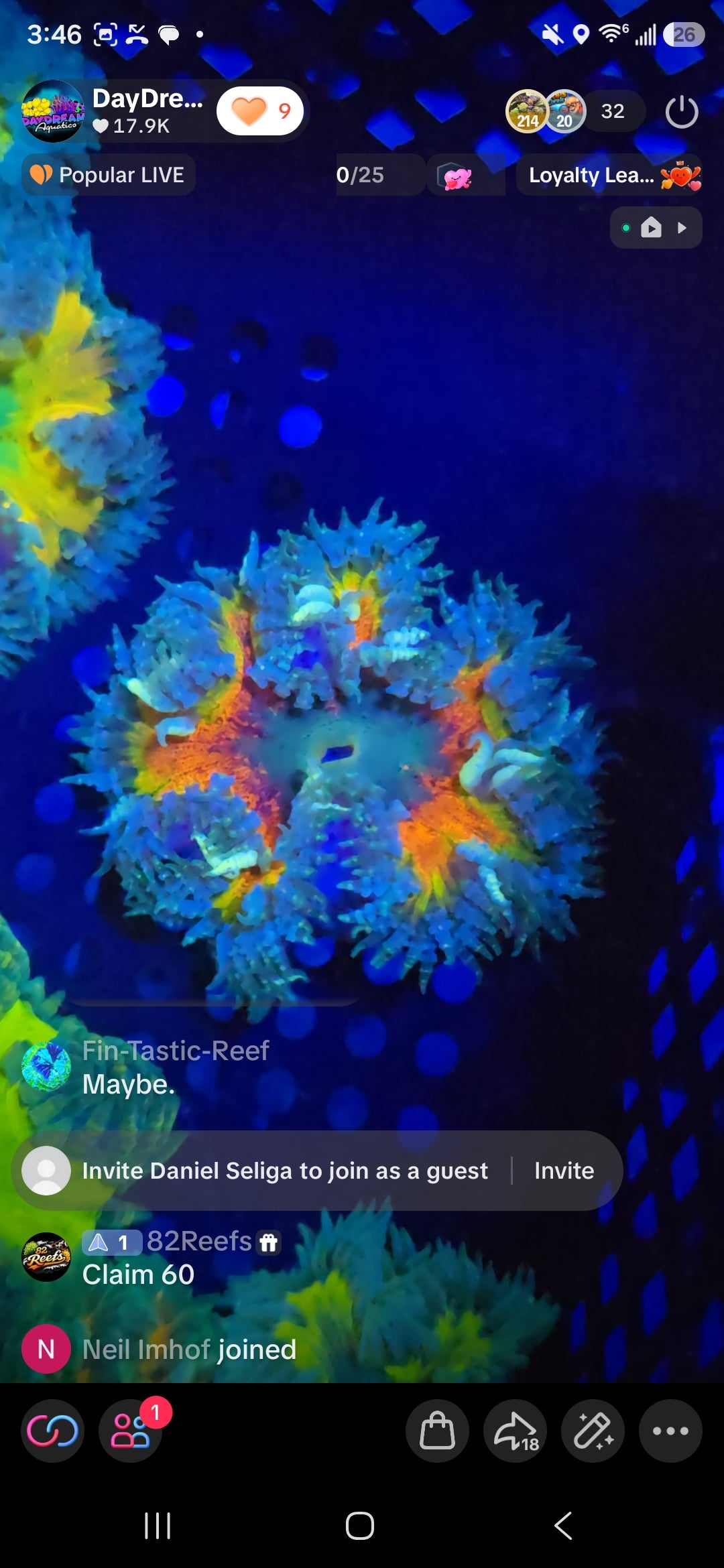 82reefs