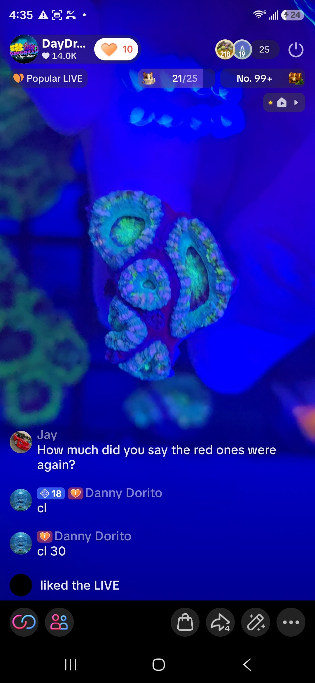 Danny Dorito's Pack