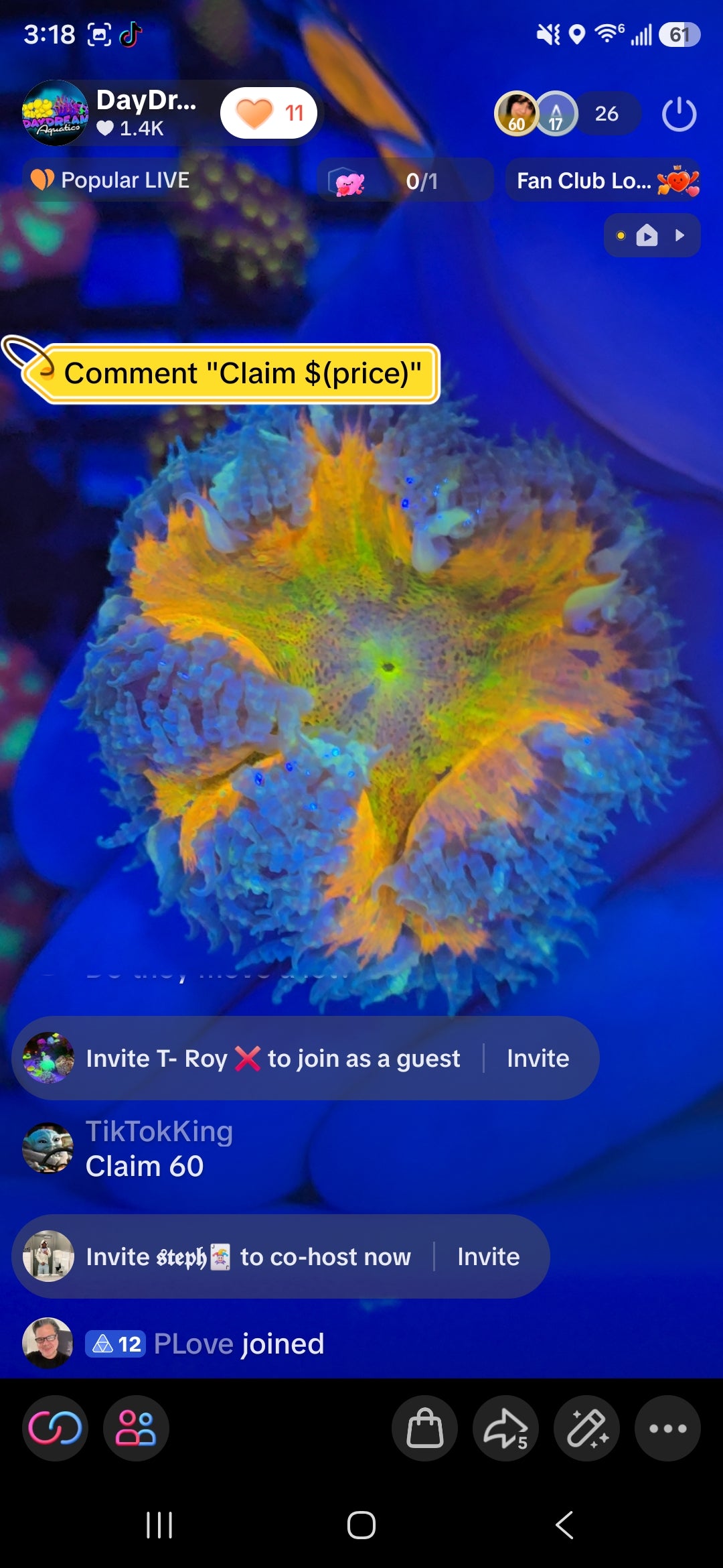 TikTok King