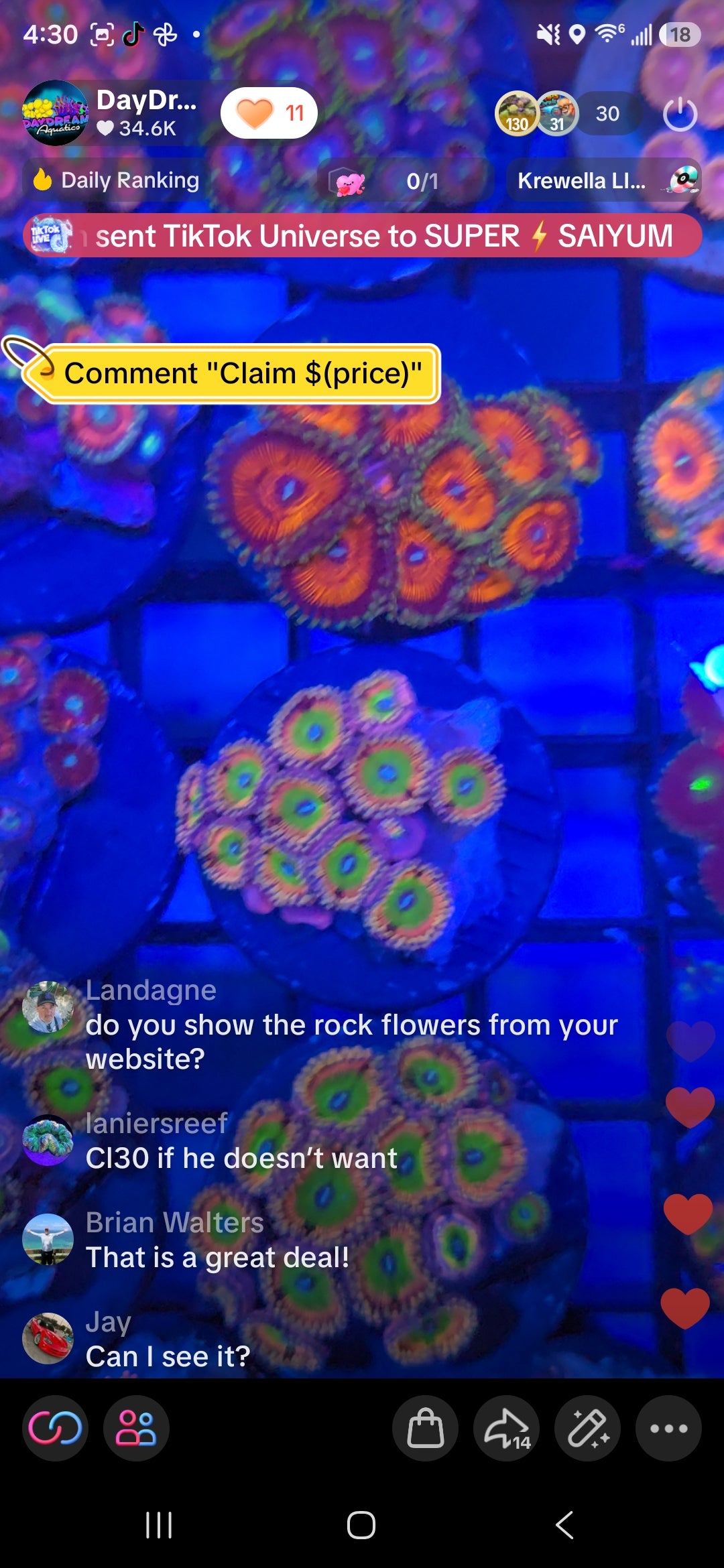 Ianiersreef Pack