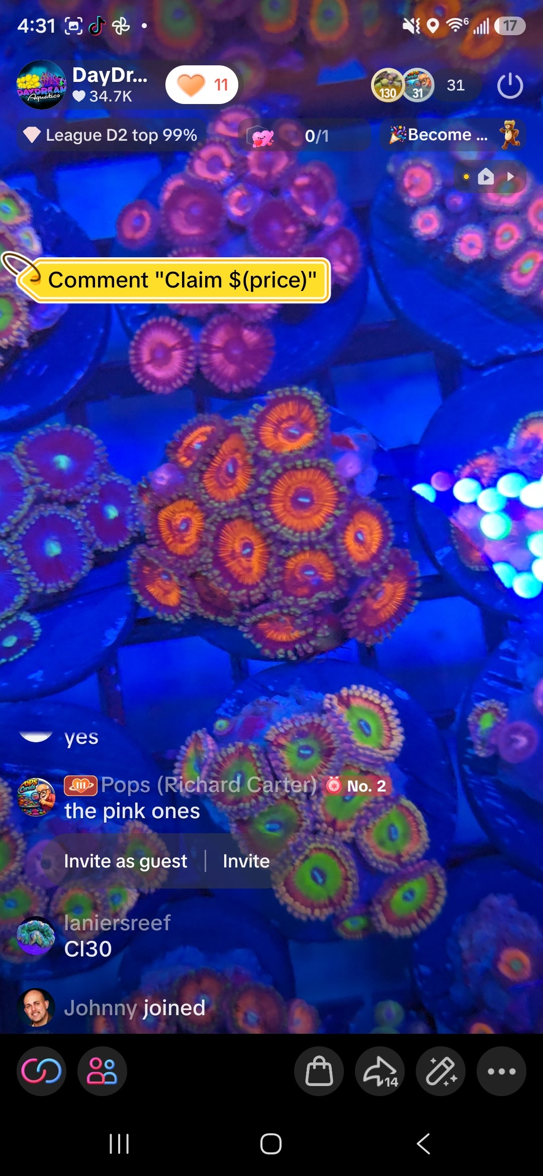 Ianiersreef Pack