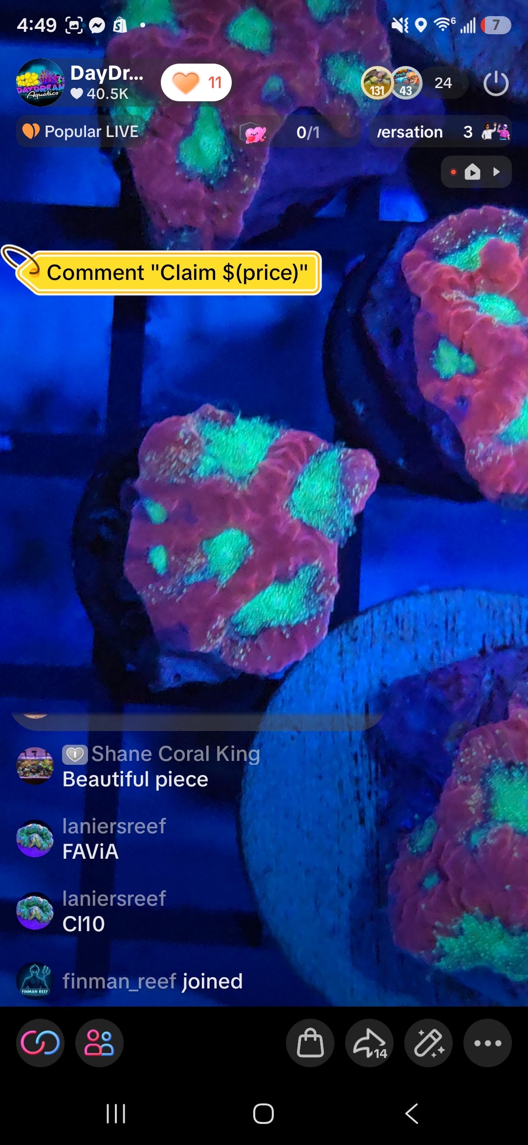 Ianiersreef Pack