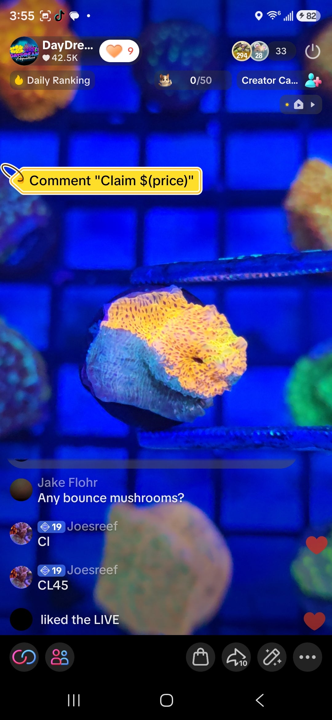 Joes Reef Pack