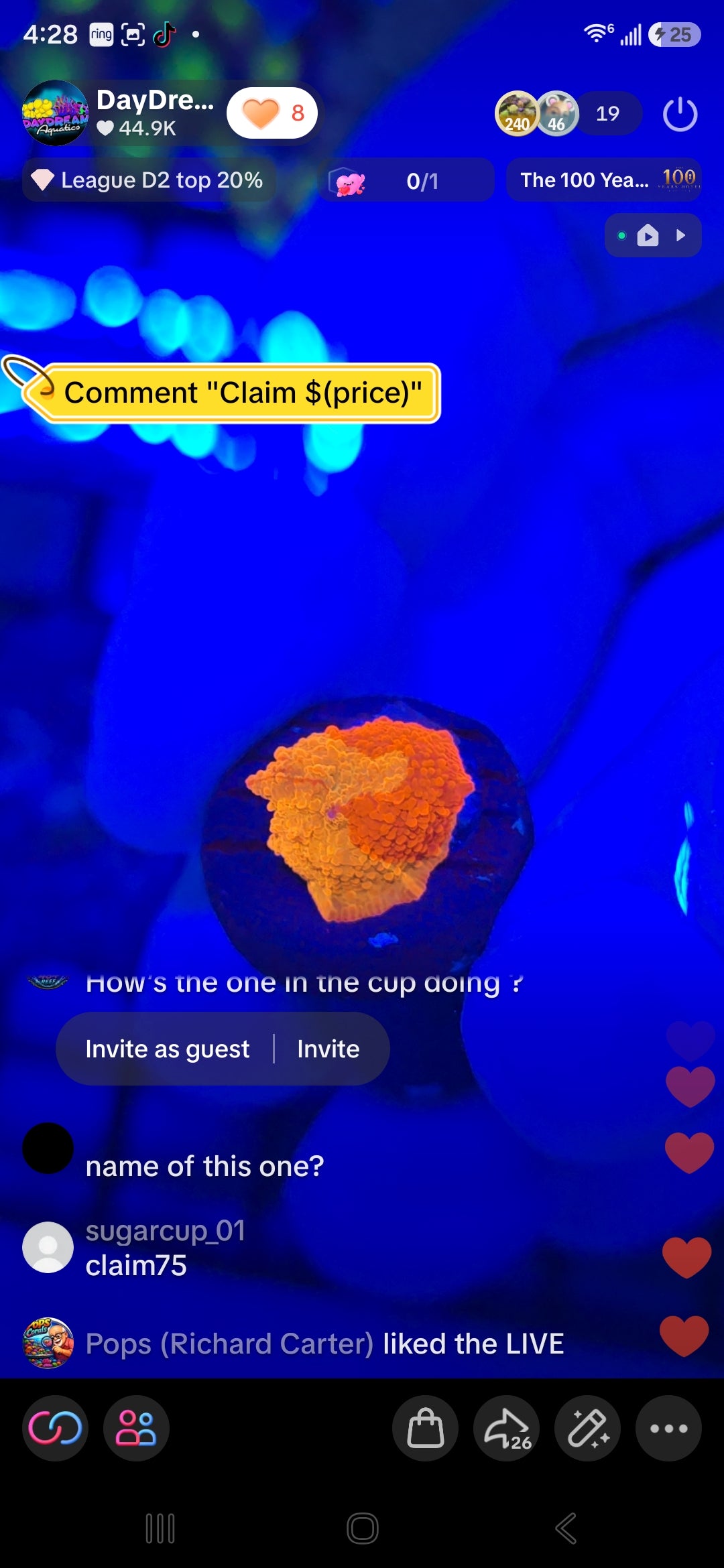 Sugarcups Pack