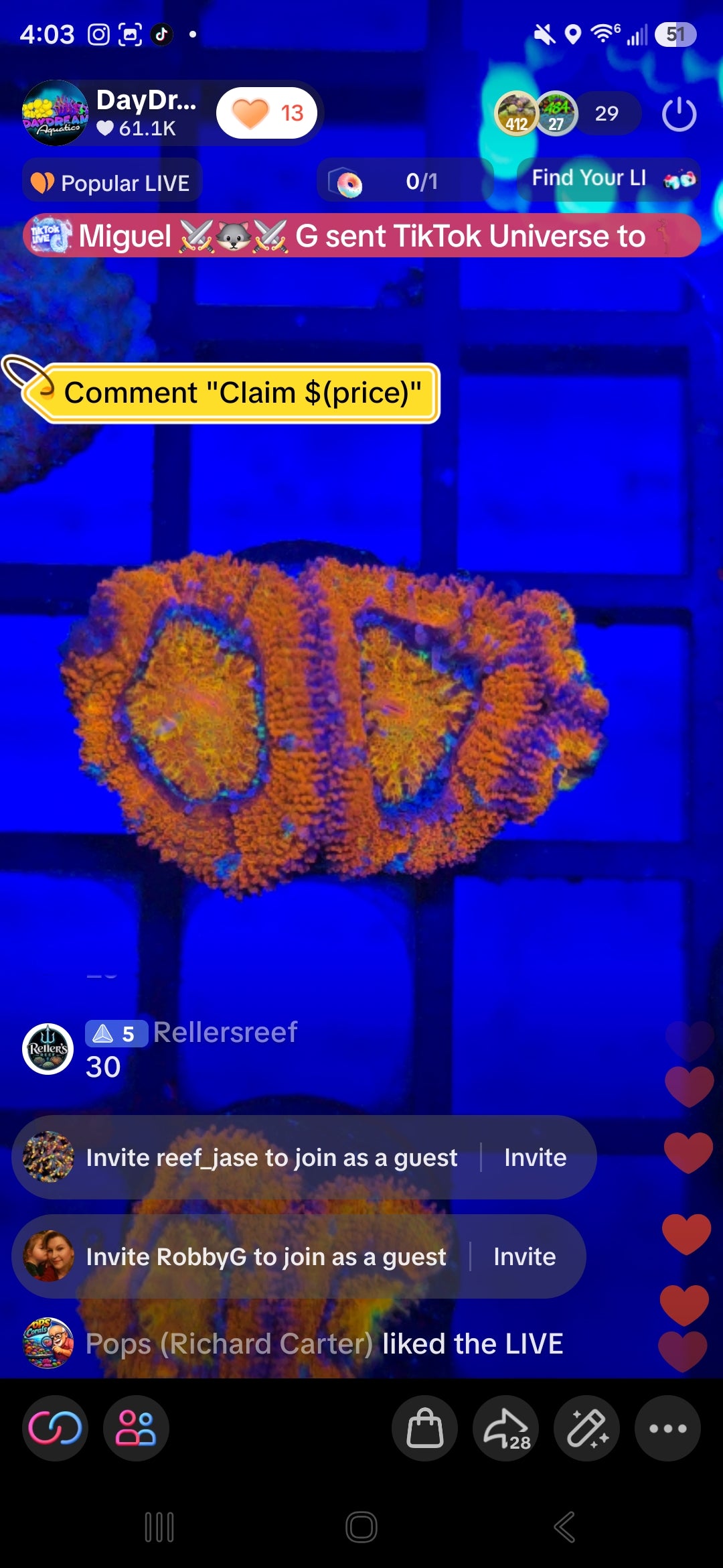 Rellers Reef Pack