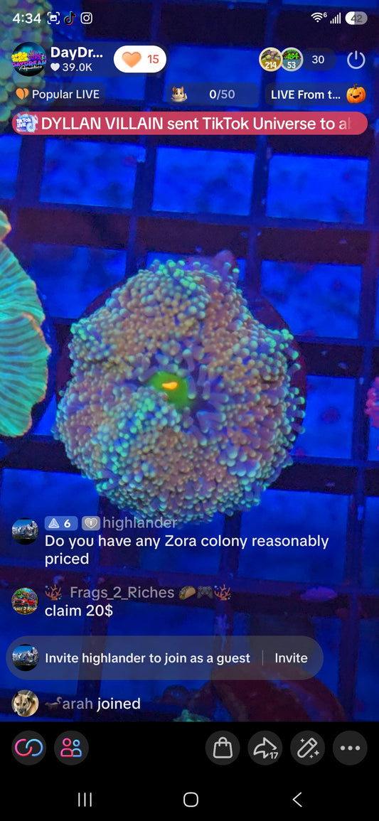 Frags2Riches Pack
