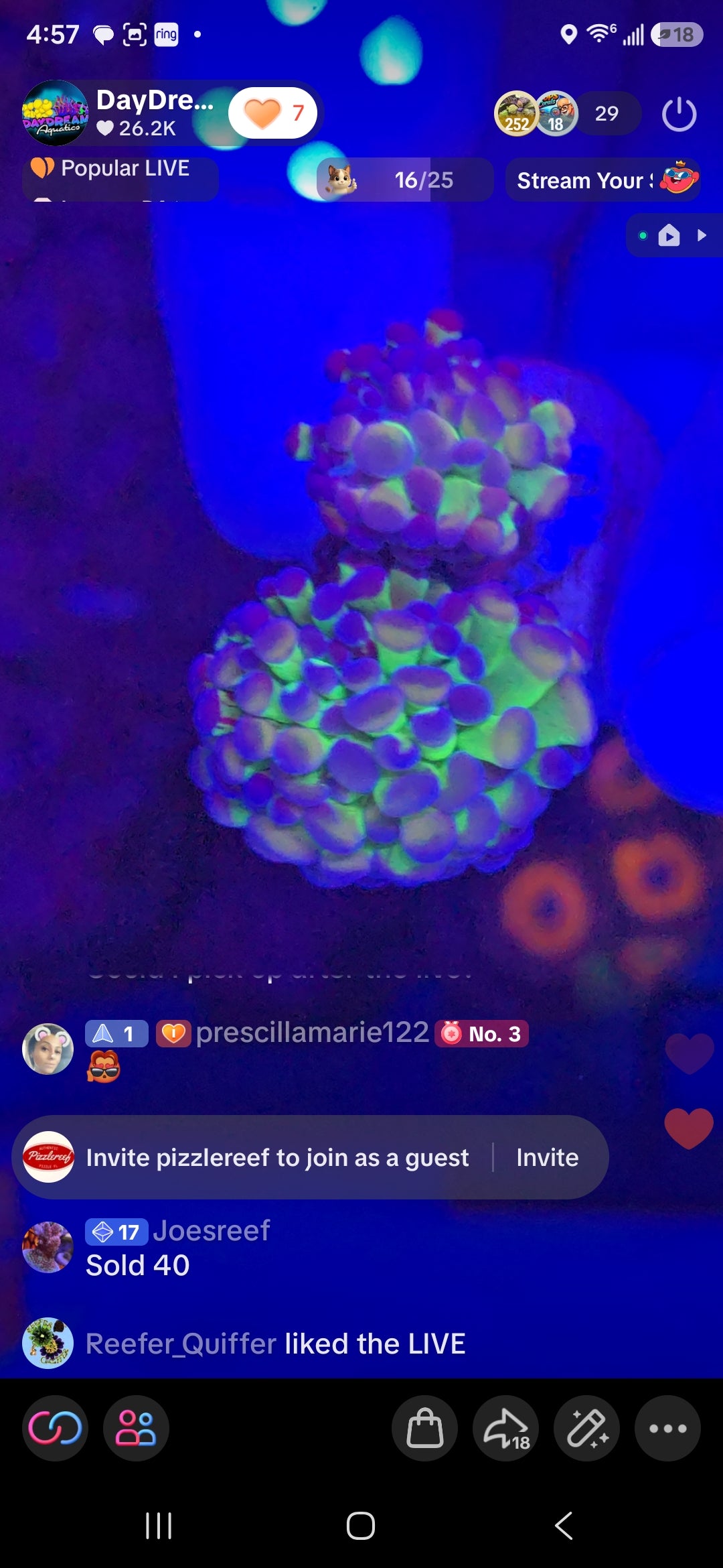 JoesReef