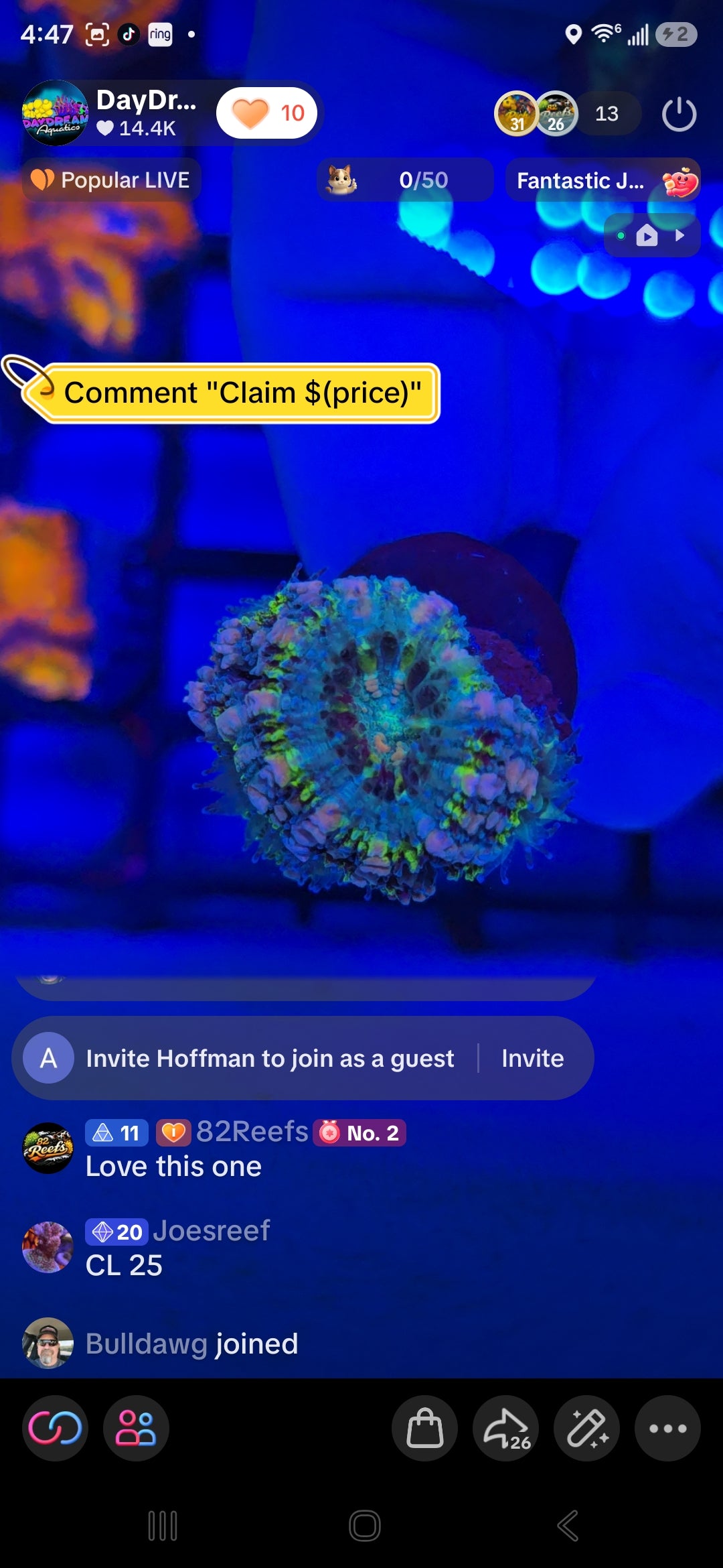 Joes Reef Pack