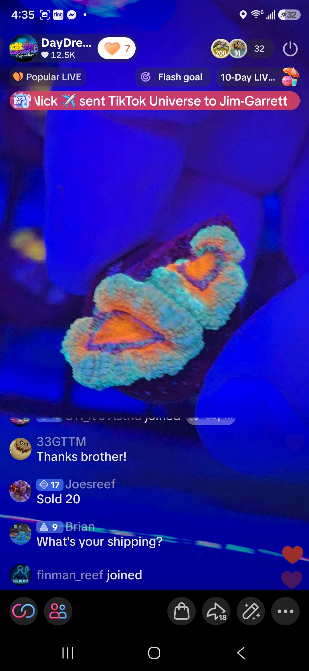 JoesReef