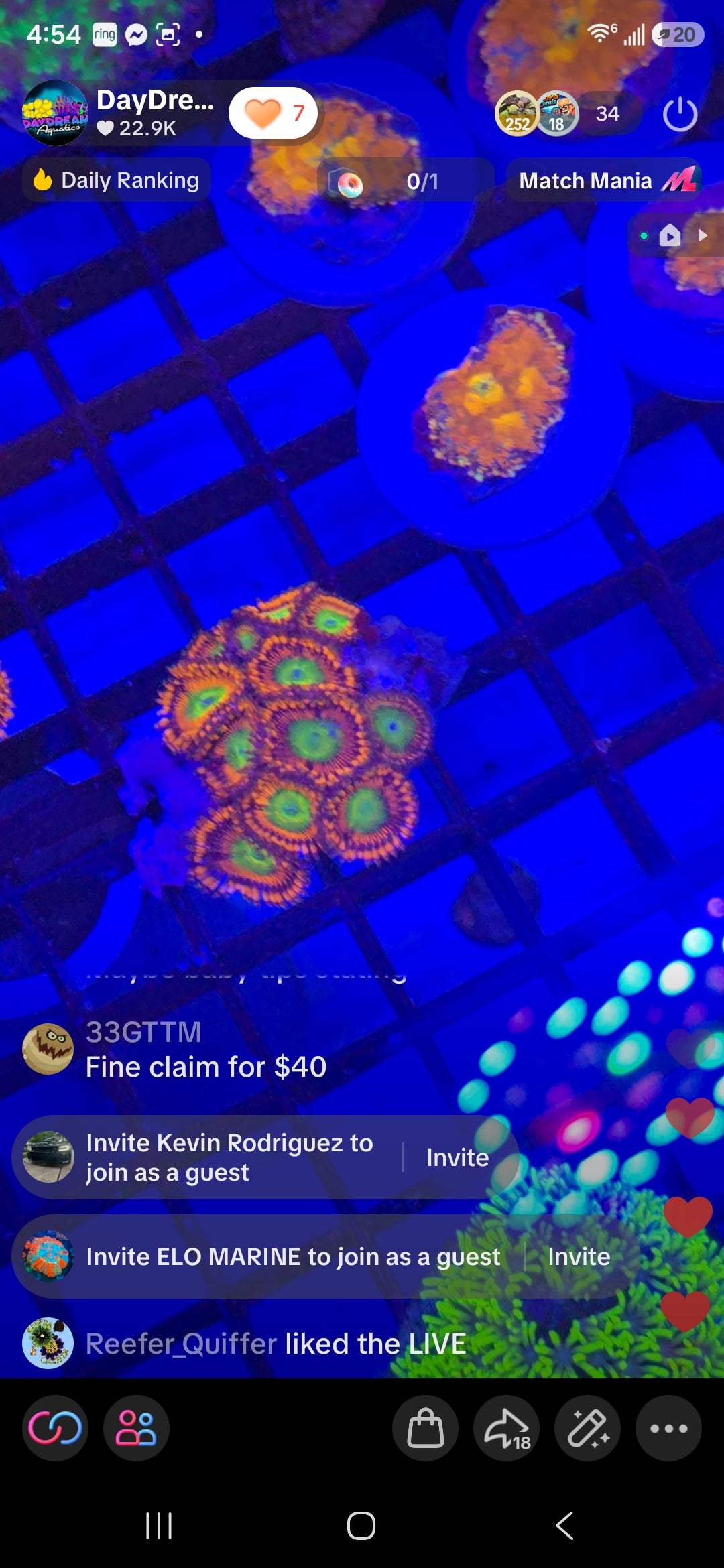 33GTTM
