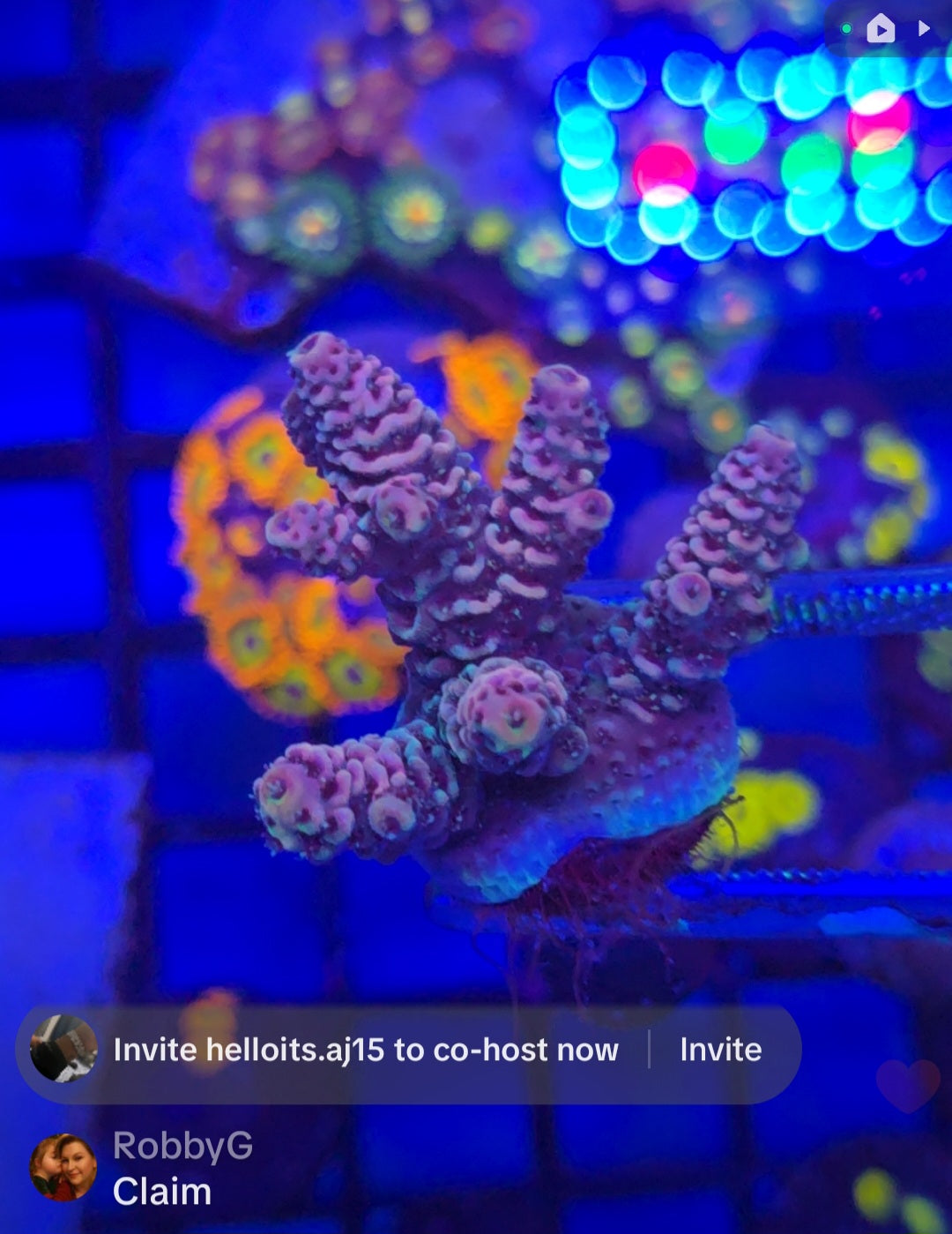 RobbyG's Pack
