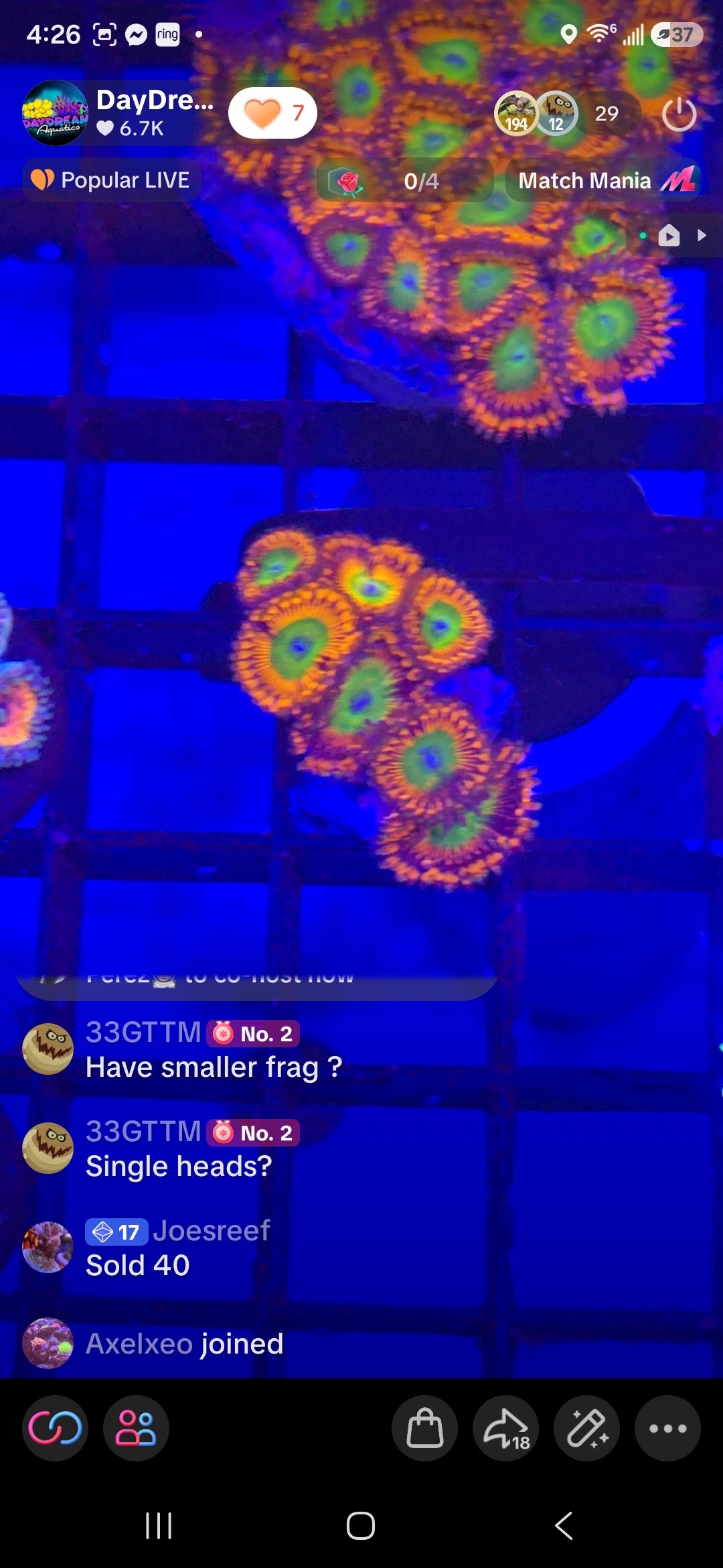 JoesReef