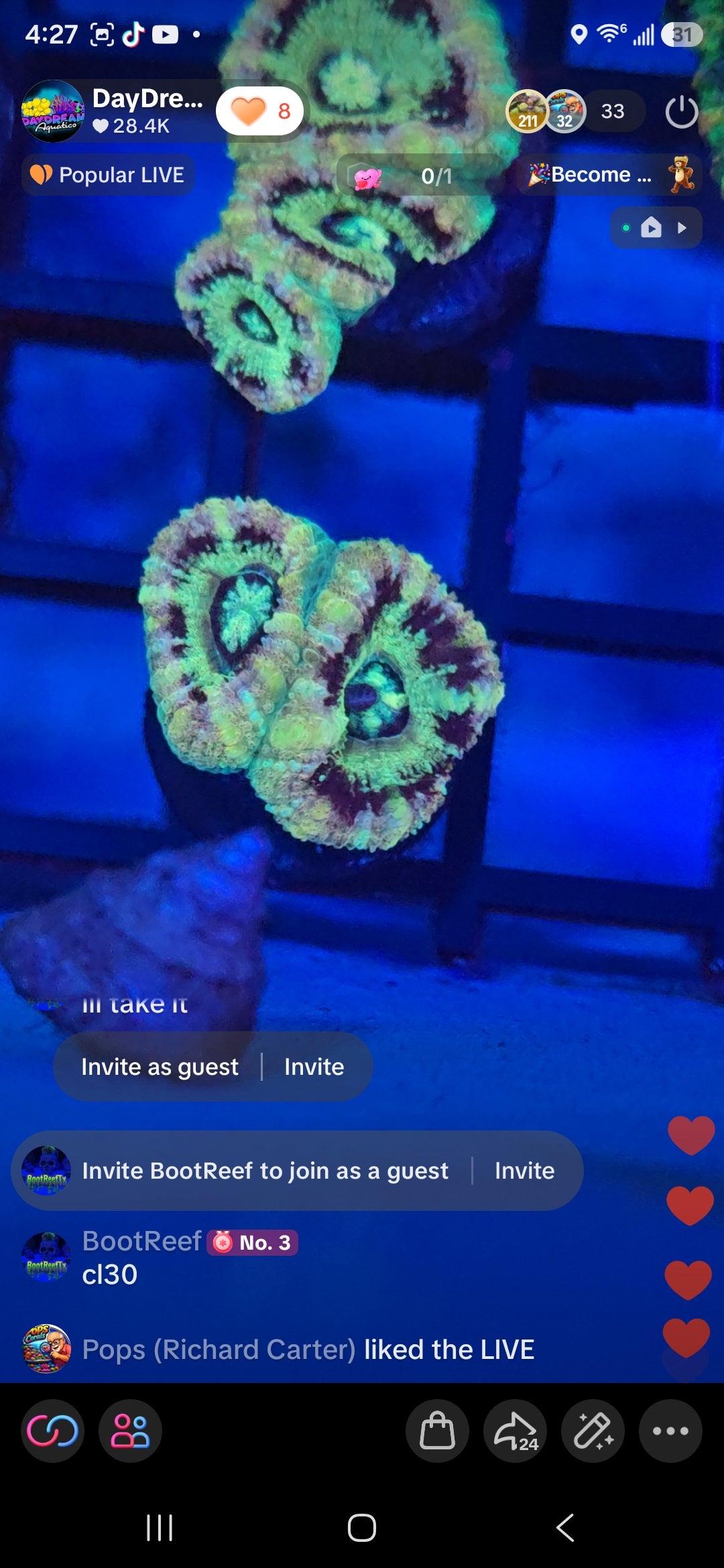 BootReef